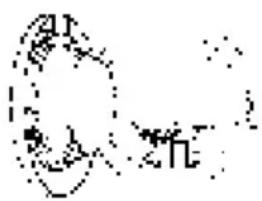 Handwritten Chinese characters with a dotted circular outline, possibly a signature or annotation
