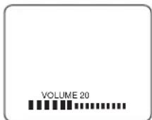 SYLVANIA 6724DF - Adjust sound - 1