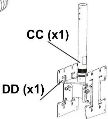 CC (x1) DD (x1)