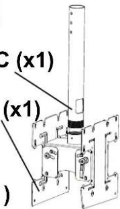 C (x1) (x1) )