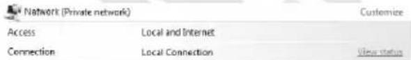 Network (Private network) Access Local and Internet Connection Local Connection Customize View status