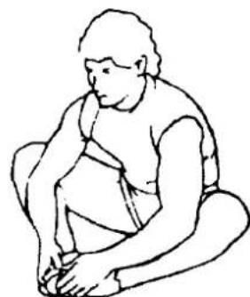 Life Gear Swany - Elliptical Trainer 93460 - INNER THIGH STRETCH - 1