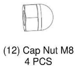 (12) Cap Nut M8 4 PCS