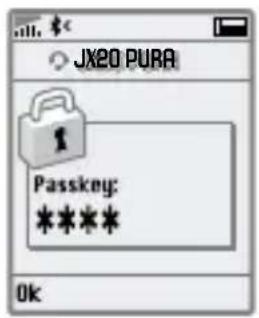 JX20 PURA Passkey: **** Ok