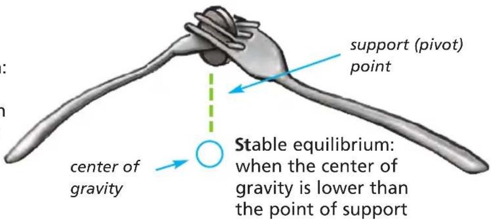 support (pivot) point center of gravity Stable equilibrium: when the center of gravity is lower than the point of support