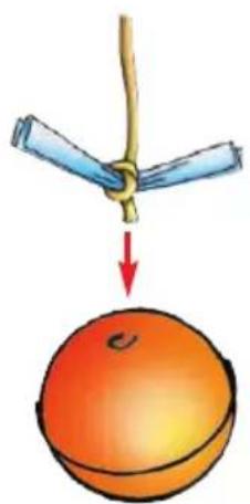 Learning Resources Science of Special effects - Assembly Instructions - 3