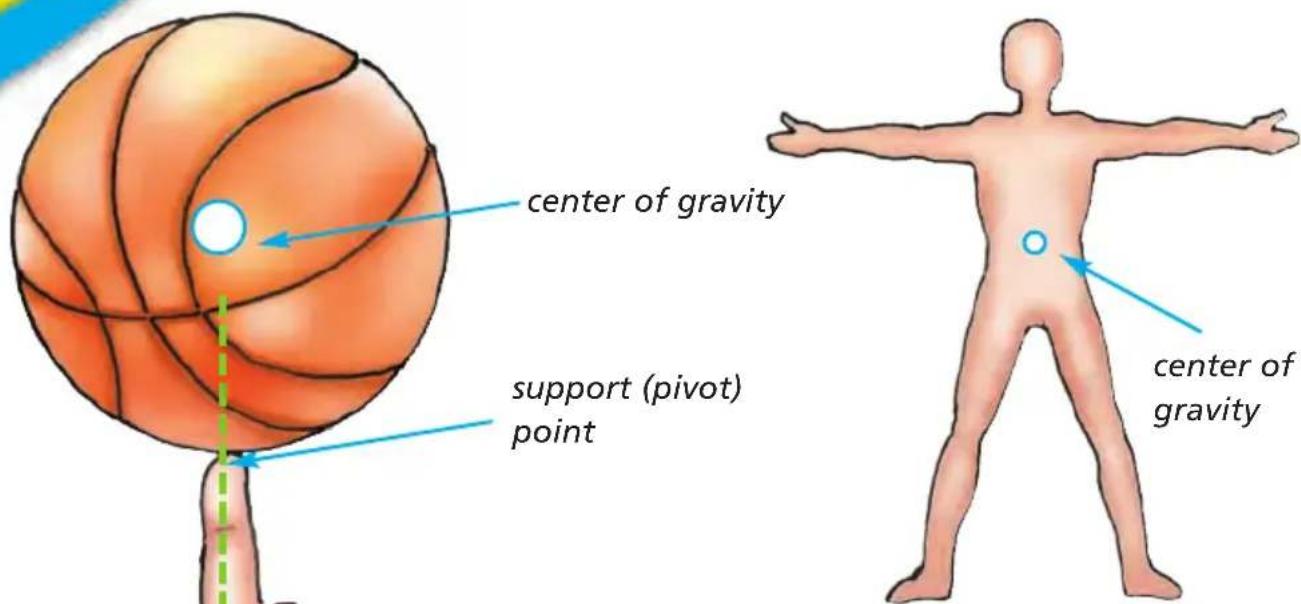 center of gravity support (pivot) point center of gravity
