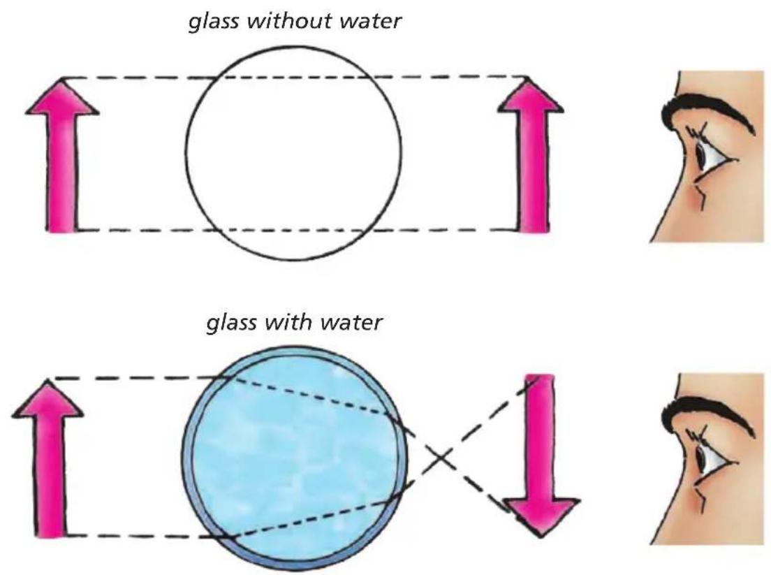 glass without water glass with water