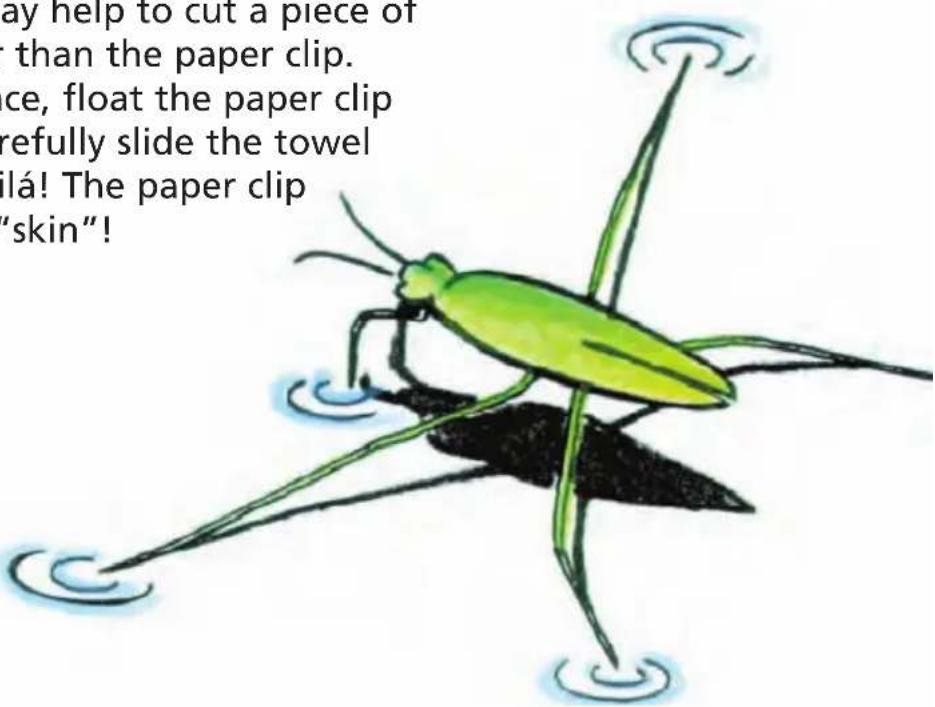 ay help to cut a piece of than the paper clip. ce, float the paper clip refully slide the towel ilá! The paper clip "skin"!