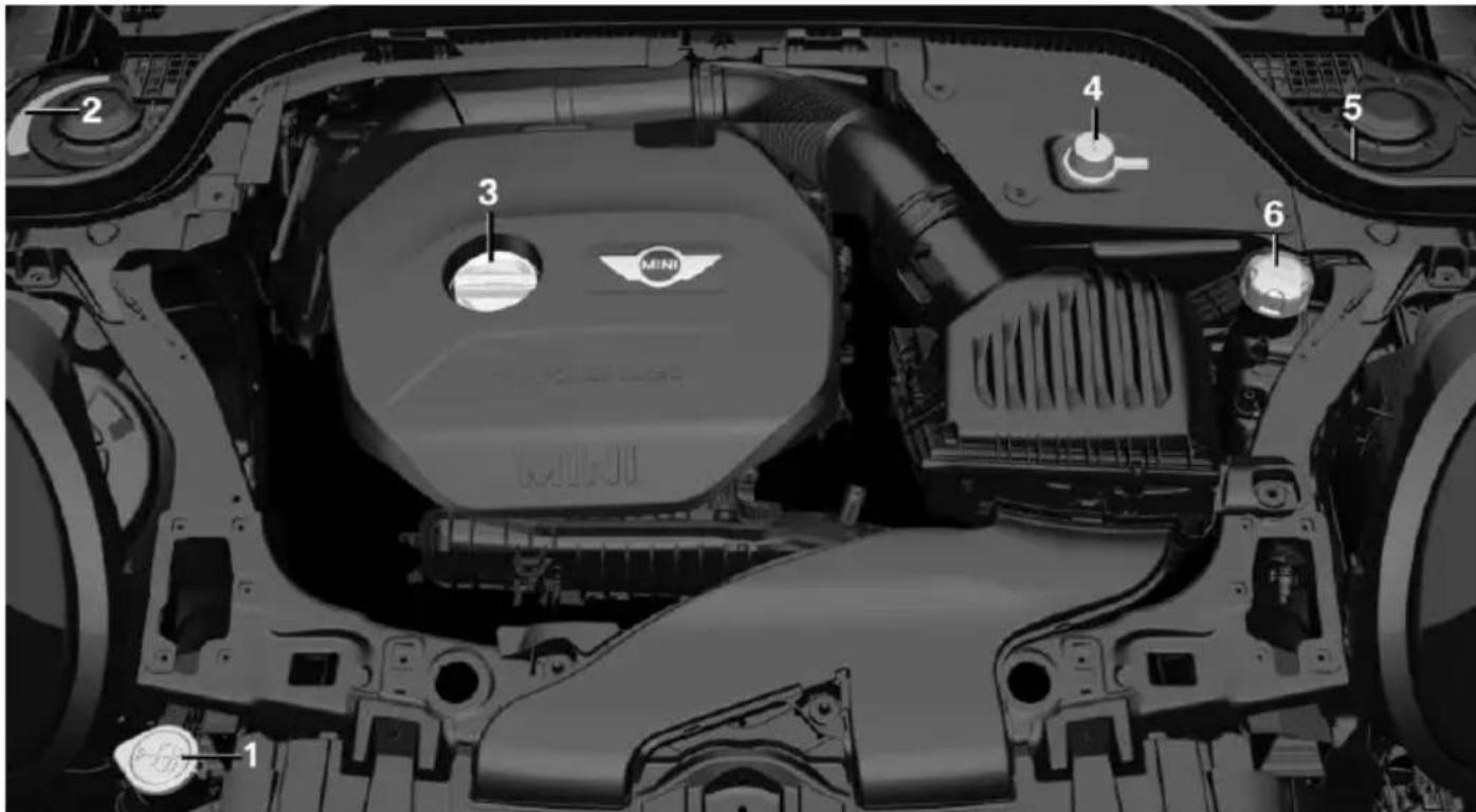 MINI Hardtop 2 Door (2017) - IMPORTANT FEATURES IN THE ENGINE COMPARTMENT - 1
