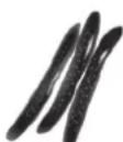 HITACHI R-E6800XND - Food which are not suitable for storage - 4