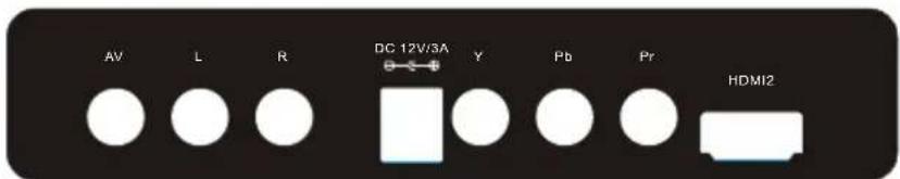 BUSH IDLED2201 - Rear Sockets - 1