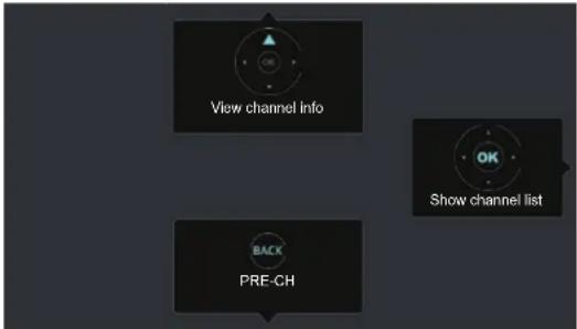 HISENSE 32H5507 - Launch Live TV - 1