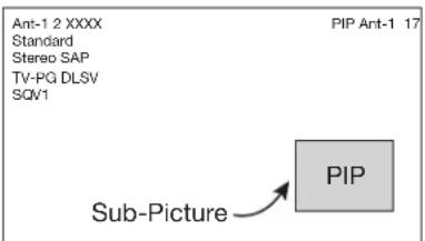 Ant-1 2 XXXX Standard Stereo SAP TV-PG DLSV SQV1 PIP Ant-1 17 Sub-Picture PIP