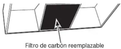 Filtro de carbon reemplazable