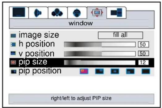 window image size fill all h position 50 v position 50 pip size 12 pip position right/left to adjust PIP size