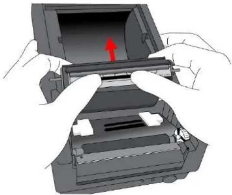 Argox OS-2130DE - Appendix I-Thermal Print Head Replacement - 1