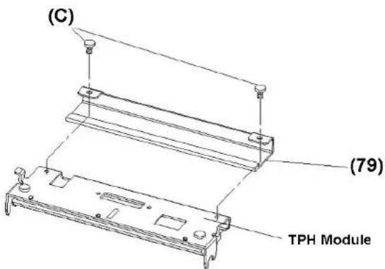 (C) (79) TPH Module