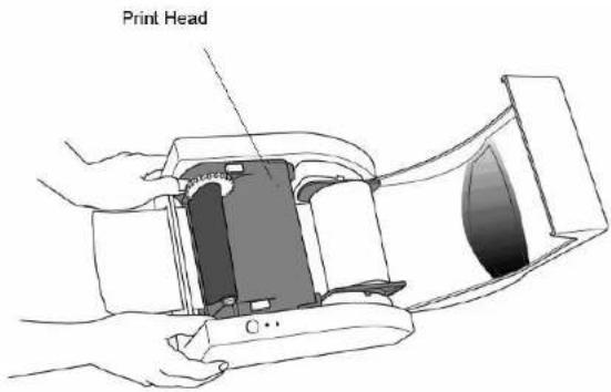 Print Head