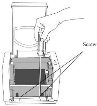 Screw