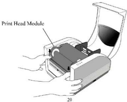 Print Head Module 20