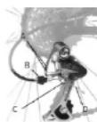 Frog Track 67 - To adjust the small cog position: - 2