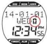 Alatech Runaid 10 - Battery Low Indicator - 1