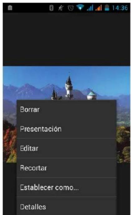 Borrar Presentación Editar Recortar Establecer como... Detalles
