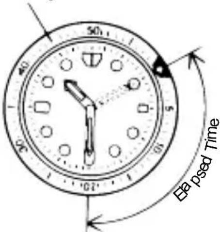 50h 40 5 6 7 8 9 10 11 12 13 14 15 16 17 18 19 20 Elapsed Time