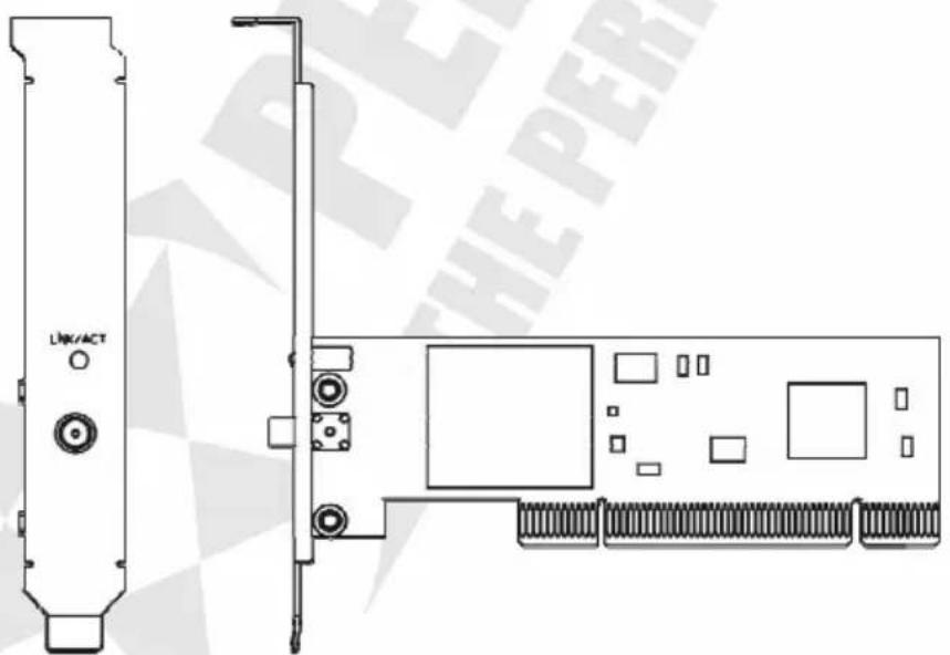 LINK/ACT PHEPER