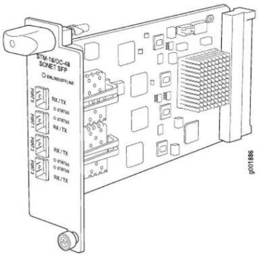 STM-18/OC-49 SONET SFP ONLINEOPOLINE RX/TX STATUS RX/TX RX/TX STATUS RX/TX g001886