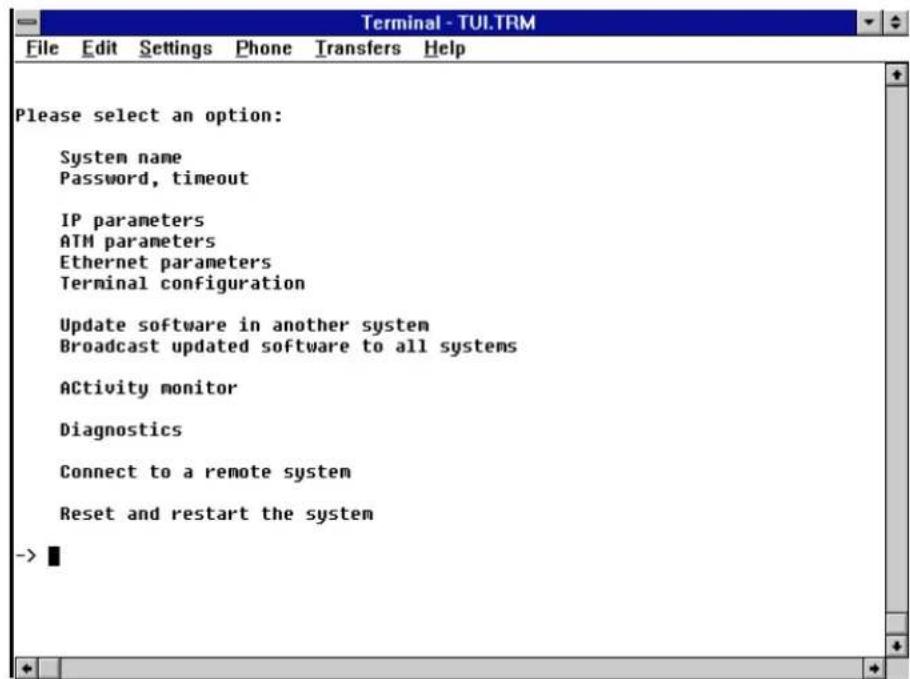 Please select an option: System name Password, timeout IP parameters ATM parameters Ethernet parameters Terminal configuration Update software in another system Broadcast updated software to all systems ACTivity monitor Diagnostics Connect to a remote system Reset and restart the system ->