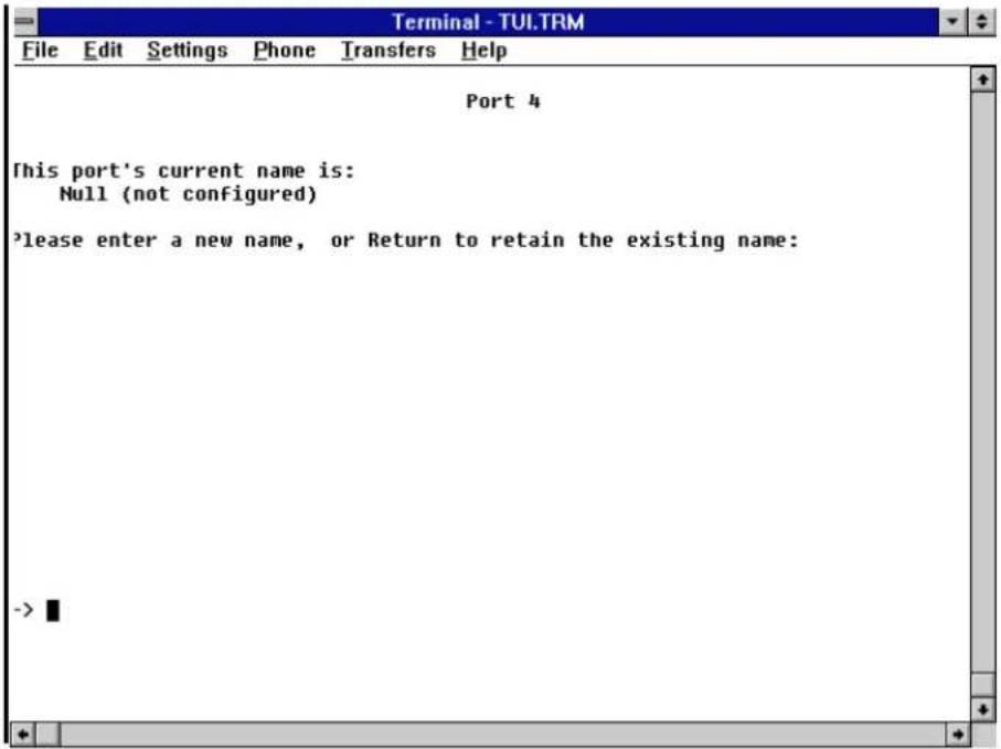 Terminal - TULTRM File Edit Settings Phone Transfers Help Port 4 This port's current name is: Null (not configured) *lease enter a new name, or Return to retain the existing name: ->