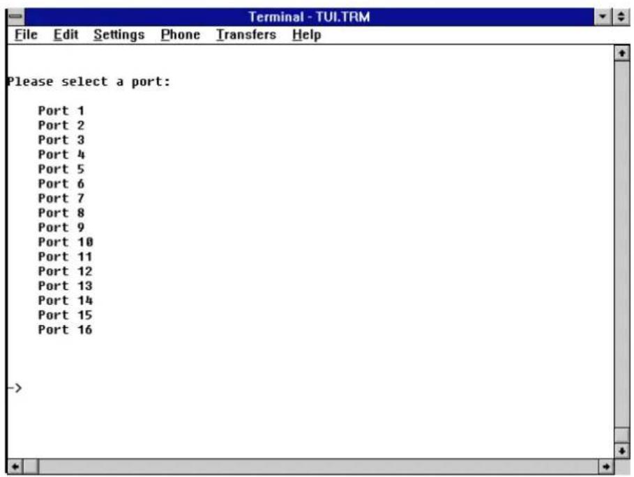 Terminal - TUI.TRM File Edit Settings Phone Transfers Help Please select a port: Port 1 Port 2 Port 3 Port 4 Port 5 Port 6 Port 7 Port 8 Port 9 Port 10 Port 11 Port 12 Port 13 Port 14 Port 15 Port 16 ->