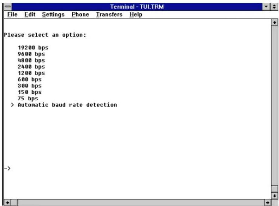 Terminal - TUI.TRM File Edit Settings Phone Transfers Help Please select an option: 19200 bps 9600 bps 4800 bps 2400 bps 1200 bps 600 bps 300 bps 150 bps 75 bps > Automatic baud rate detection ->