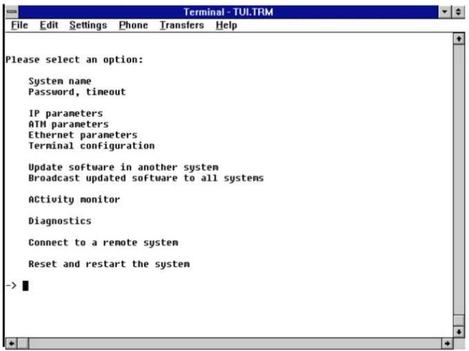 Please select an option: System name Password, timeout IP parameters ATM parameters Ethernet parameters Terminal configuration Update software in another system Broadcast updated software to all systems ACTivity monitor Diagnostics Connect to a remote system Reset and restart the system ->