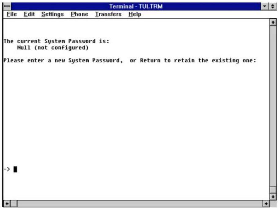Terminal - TUI.TRM File Edit Settings Phone Transfers Help The current System Password is: Null (not configured) Please enter a new System Password, or Return to retain the existing one: