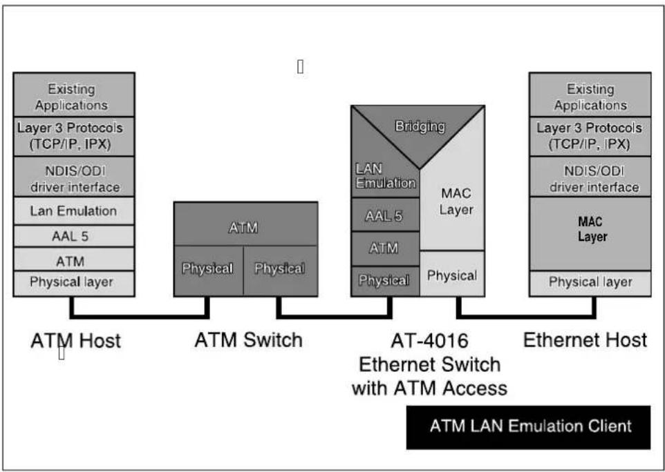 Allied Telesis AT-S13 - Description FIELD IDENTIFIER and VALUES - 4