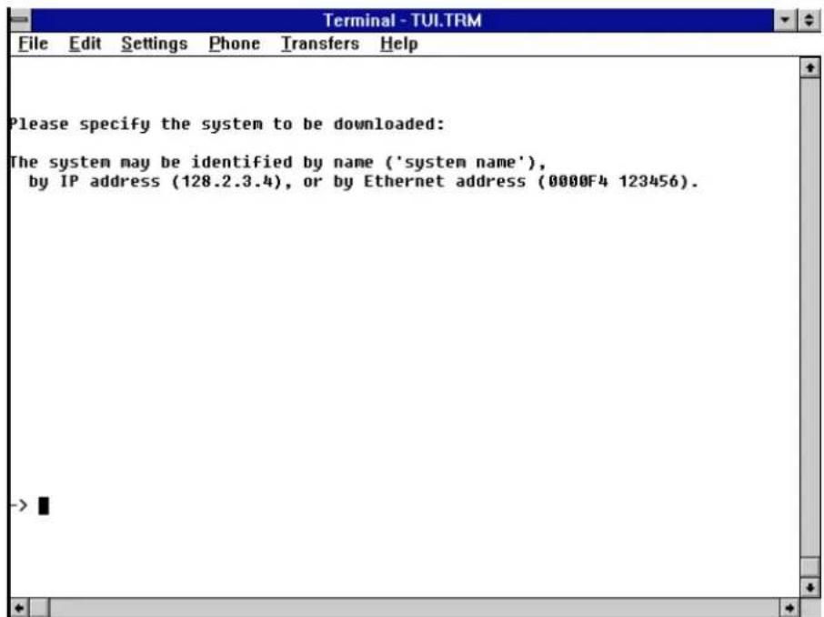 Please specify the system to be downloaded: The system may be identified by name ('system name'), by IP address (128.2.3.4), or by Ethernet address (0000F4 123456).
