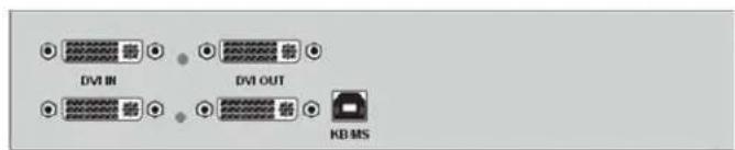 DVI IN DVI OUT KB MS