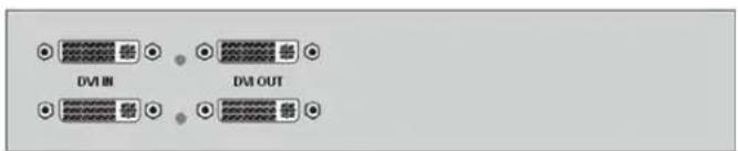 DVI IN DVI OUT