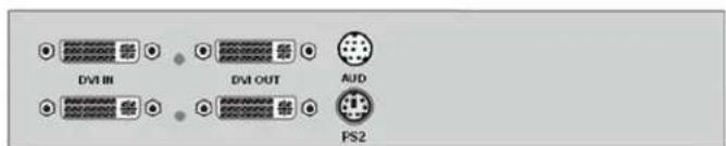 DVI IN DVI OUT AUD PS2