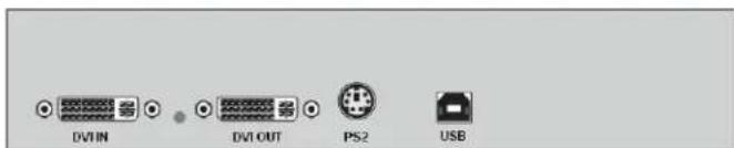 DV1IN DV1 OUT PS2 USB