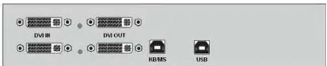 DVI IN DVI OUT KB/MS USB
