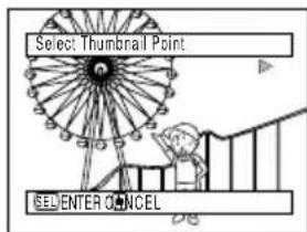 HITACHI DZ-MV350EUK - CHANGING IMAGES FOR THUMBNAILS (EDIT - THUMBNAIL) - 5