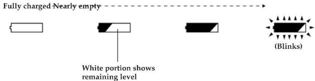 HITACHI DZ-MV200EUK - Battery Remaining Level Indicator - 1