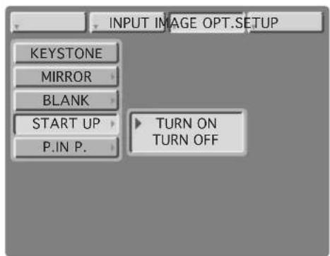 INPUT IMAGE OPT.SETUP KEYSTONE MIRROR BLANK START UP P.IN P. TURN ON TURN OFF