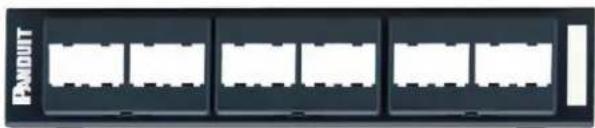 Panduit DPFP2WH - Wall Mount - 1