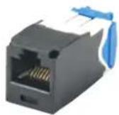 Panduit DPFP2WH - Unshielded - 1
