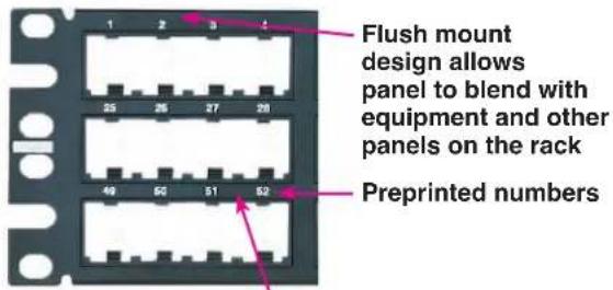 Panduit DPFP2WH - Faceplate Design - 4
